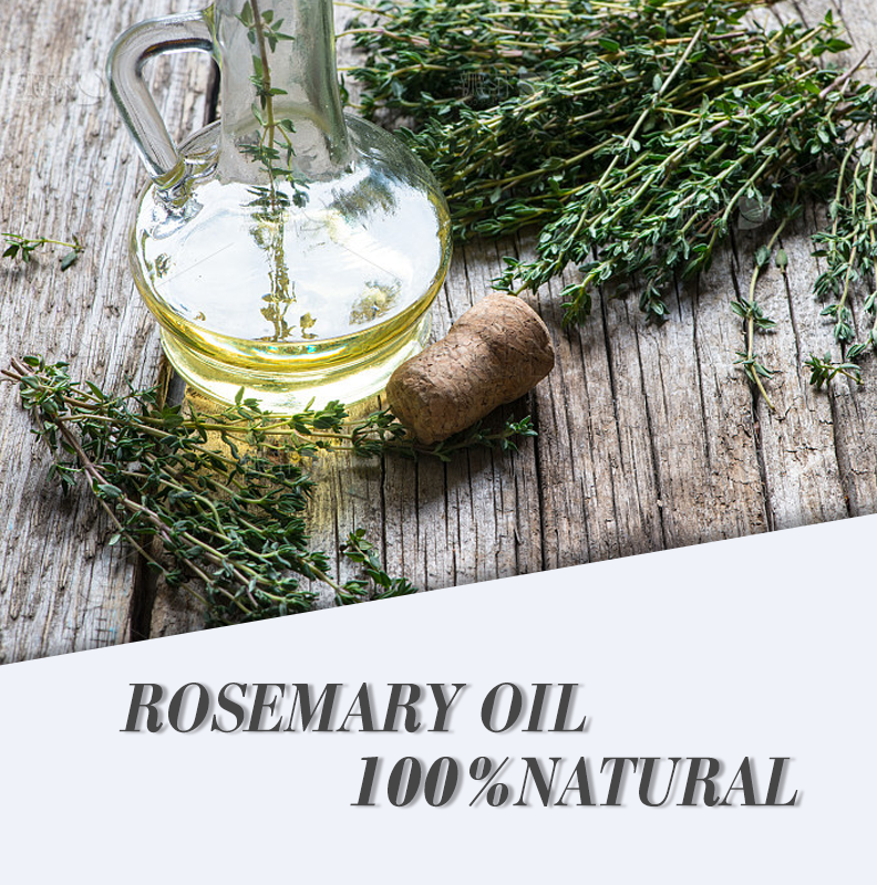 Rosemary Oil – Olio Essenziale di Rosmarino